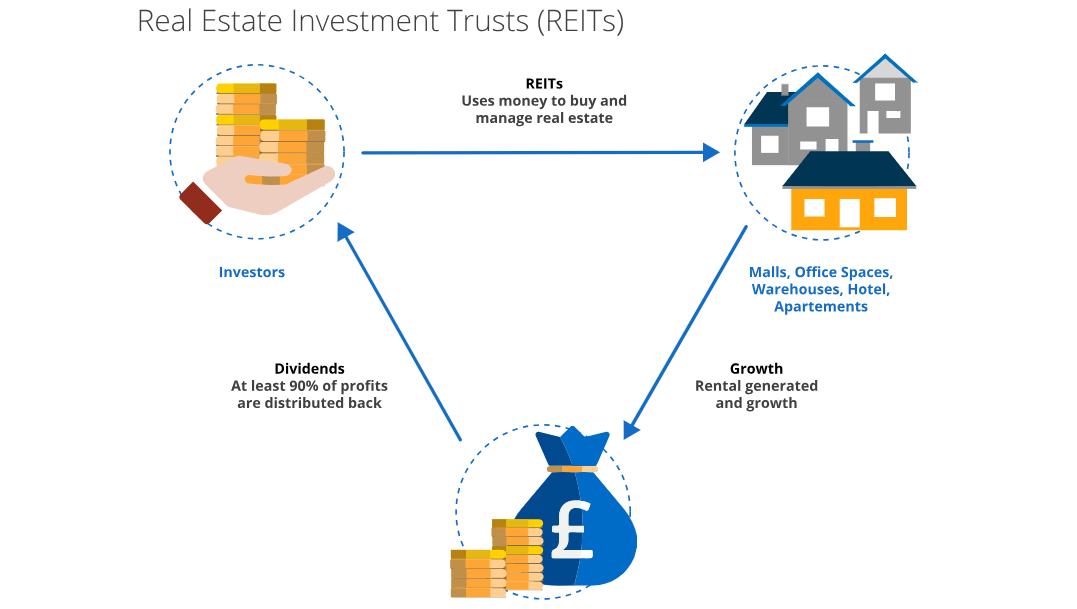 REITs (Real Estate Investment Trusts)