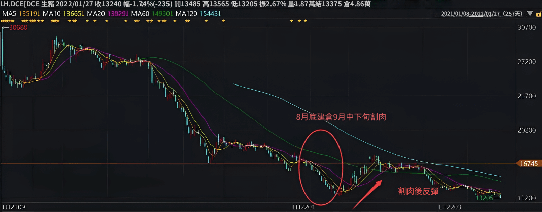 期貨建倉（生豬期貨)