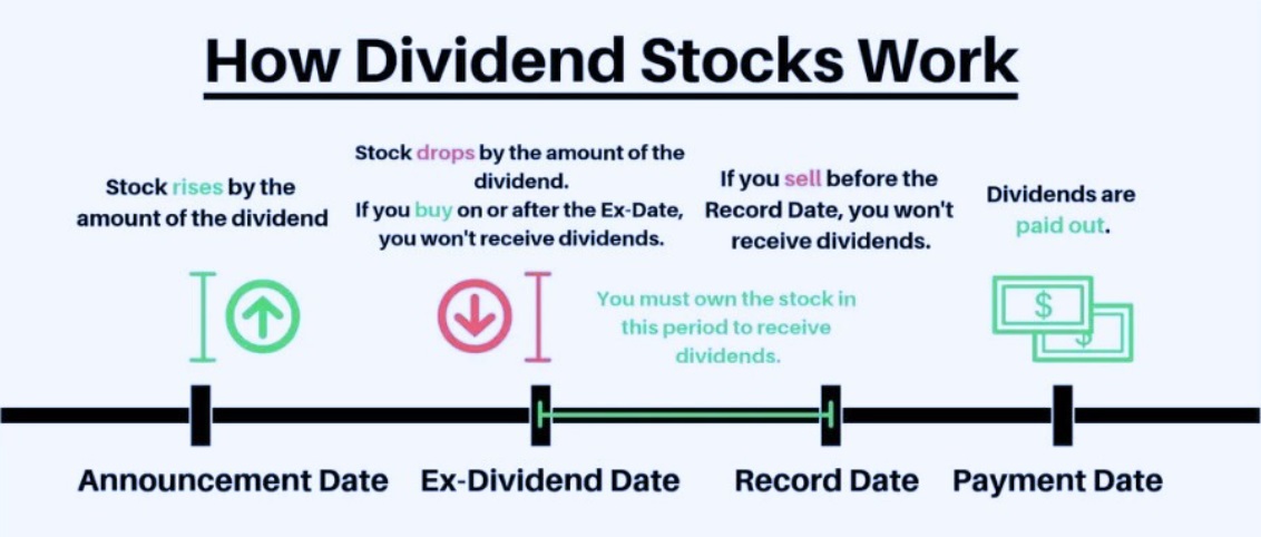 How Dividend Stocks Work-ebc