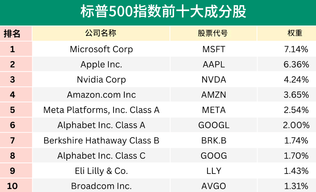 S&P 500前十成分股