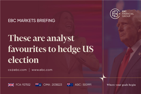 Top Analyst Picks to Hedge Against the US Election