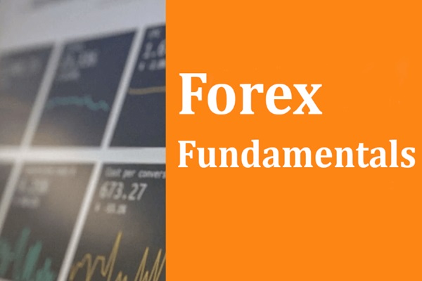 ความหมายและกลยุทธ์พื้นฐานของ Forex