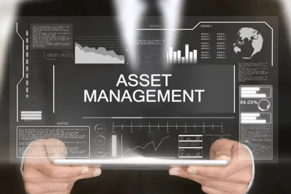 Asset Management's Types and Function