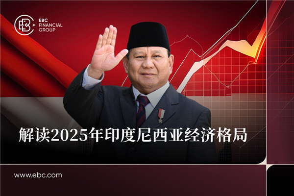 解读2025年印度尼西亚经济格局