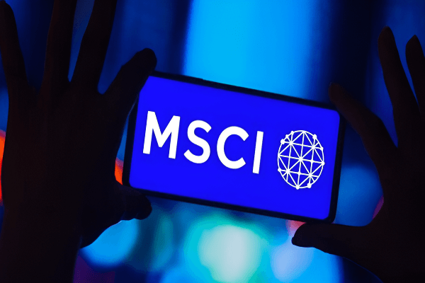 msci成分股名单查询指南