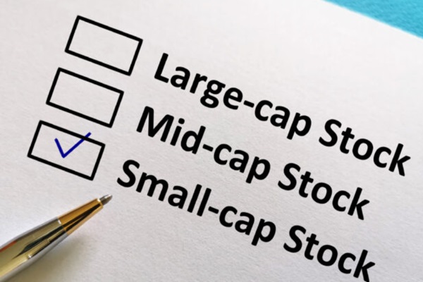 The Beginner's Guide to Investing in Small-Cap Stocks