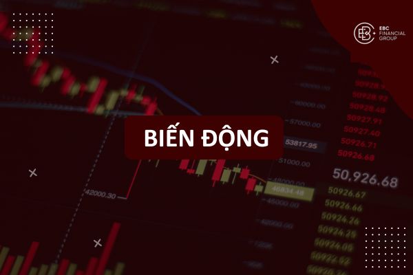 Biến Động Là Gì? Nguyên Nhân, Ảnh Hưởng và Chiến Lược Giao Dịch Hiệu Quả