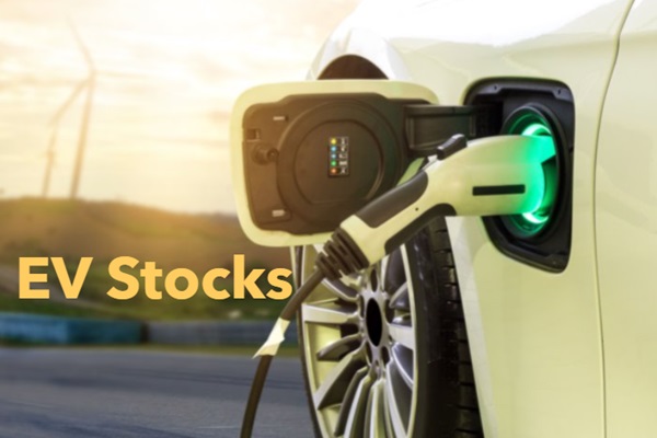 How to Build a Portfolio with EV Stocks