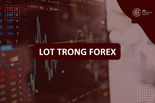 Lot là gì trong Forex? Cách tính kích thước Lot 