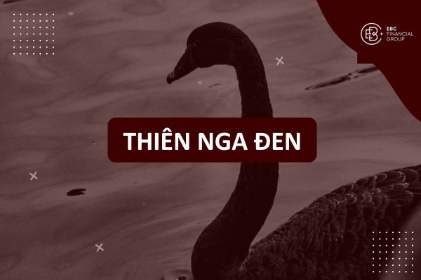 Thiên nga đen là gì? Hiện tượng Black Swan, ý nghĩa và các sự kiện