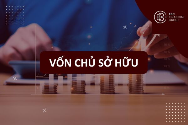 Vốn chủ sở hữu là gì? Thành phần, cách tính, phân biệt các loại vốn