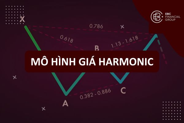 Harmonic là gì? Các mô hình giá Harmonic